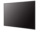 Monitor LG Comercial IPS 4K 24x7 43"