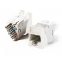 JackSiemon_CAT6um(1).webp