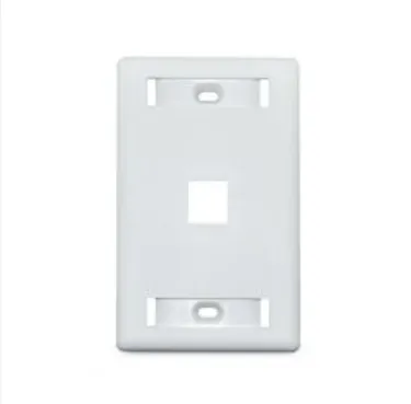 Faceplate CONNECTION 1 puerto con ID blanco