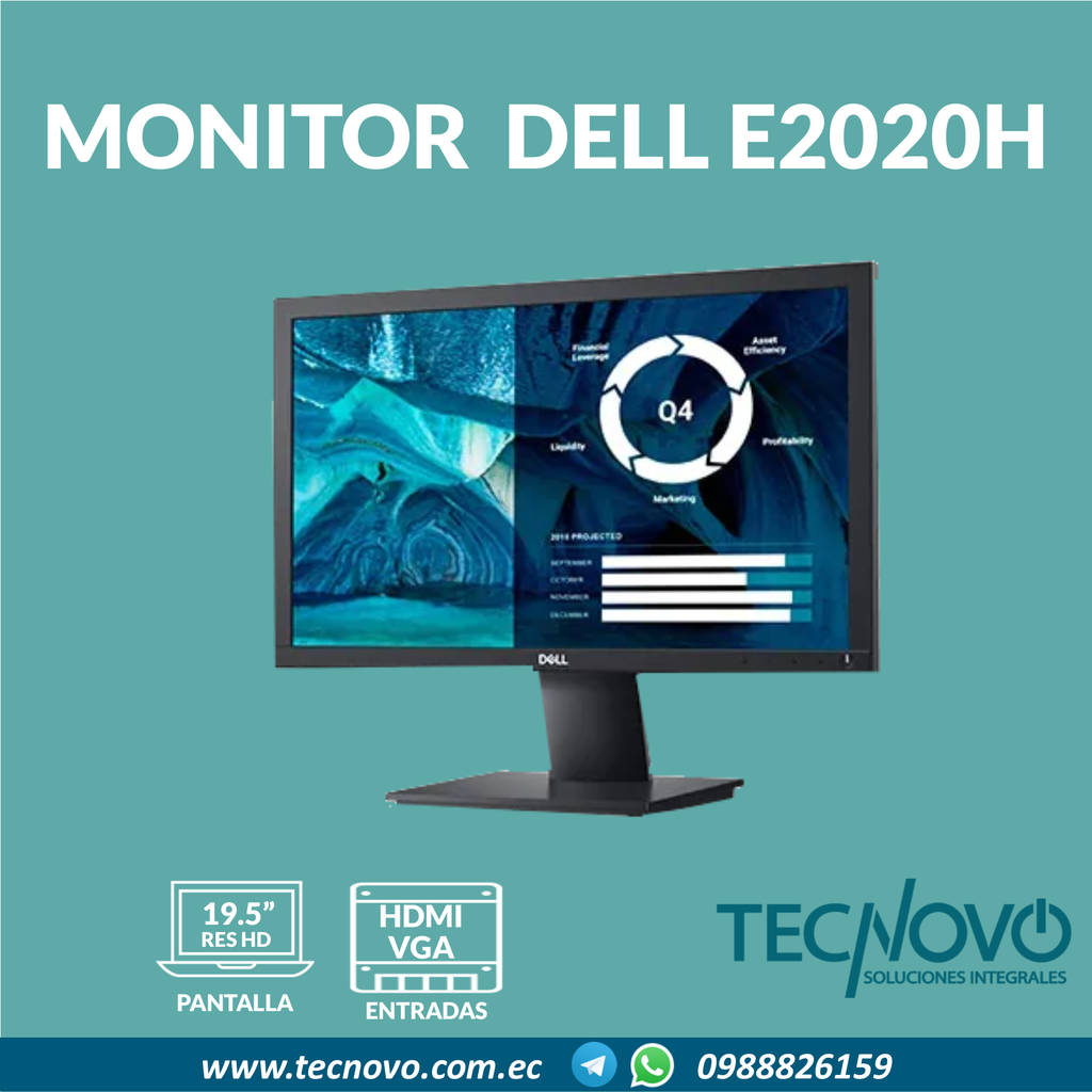 Monitor DELL 19.5" E2020H VGA DP