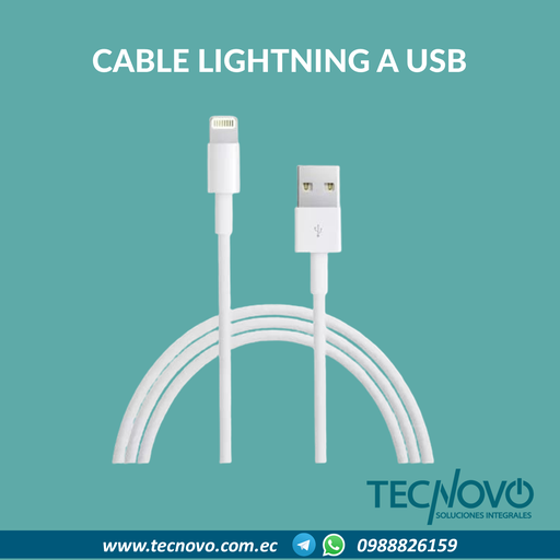 Cable Apple Lightning a USB (1mt) 