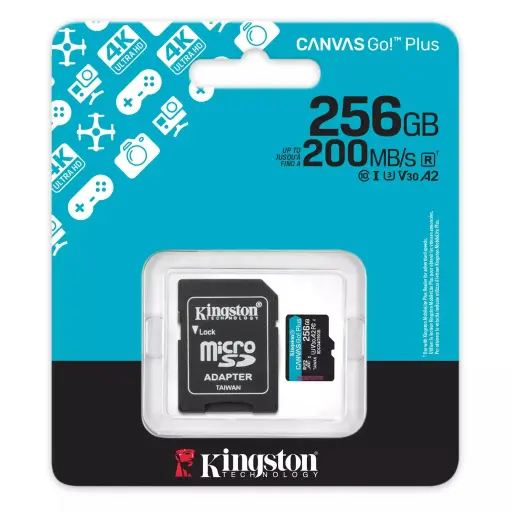 Memoria SD 256GB Canvas Go Plus Gen4
